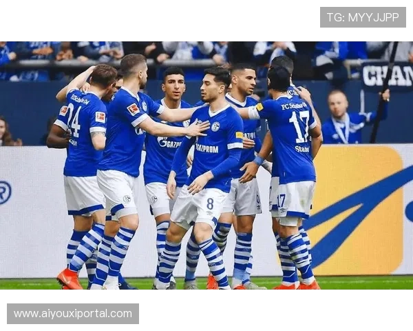 哲科签约沙尔克：老将的德乙新征程